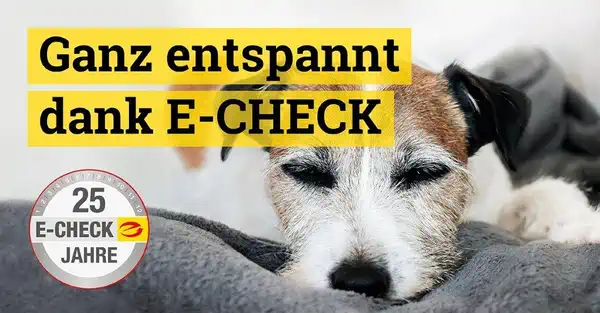 E-Check für Gewerbe, Vermieter und öffentliche Einrichtungen E-Check für Gewerbe, Vermieter und öffentliche Einrichtungen